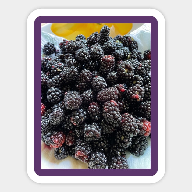 Blackberries Sticker by ReflectiveViews